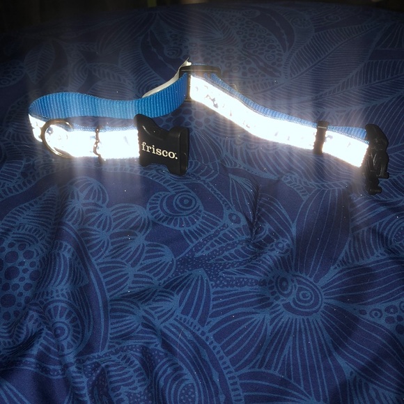 Frisco Reflective Dog Collar {not chew proof} - Picture 6 of 8